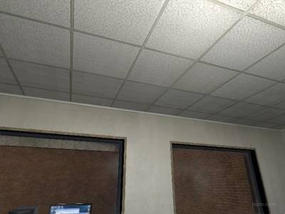 de_bugsoft thumb 7