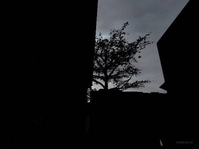 de_burg_01a thumb 19
