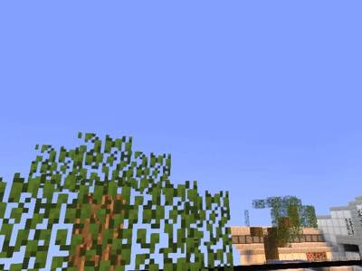 de_cache_minecraft thumb 18