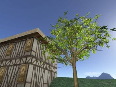 de_casa_mv1 thumb 34