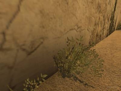 de_casablanca_oab_2 thumb 7
