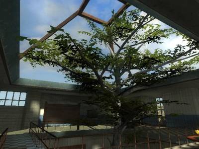 de_cash thumb 44