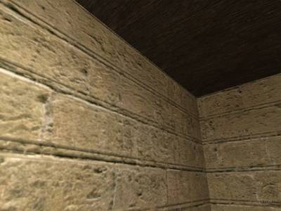 de_catalane_b5_hamster thumb 2