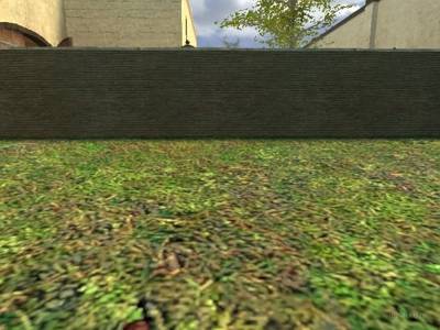 de_catalane_b5_hamster thumb 19