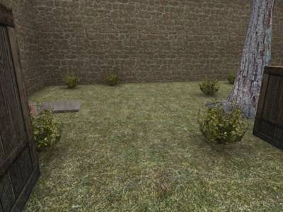 de_cbble_run thumb 14
