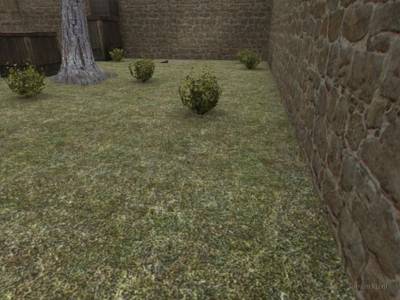 de_cbble_run_cq thumb 21