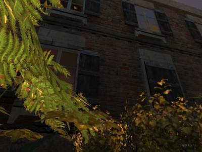 de_cod_burgundy thumb 7