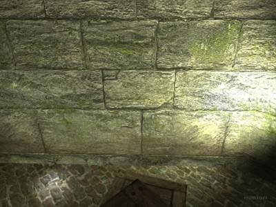 de_contra thumb 14