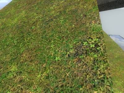 de_corky thumb 22
