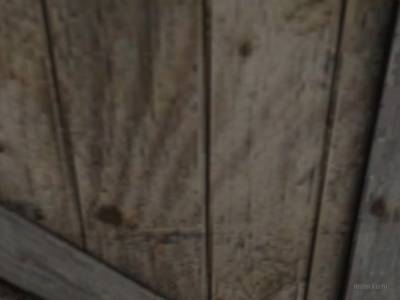 de_cranium3 thumb 10