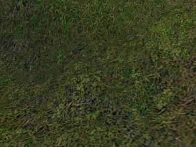 de_darkforest thumb 5