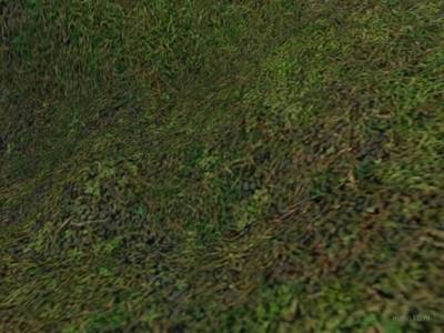 de_darkforest thumb 8