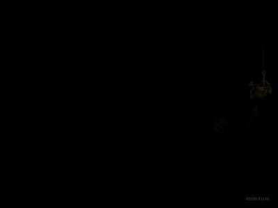 de_deathtomb thumb 9