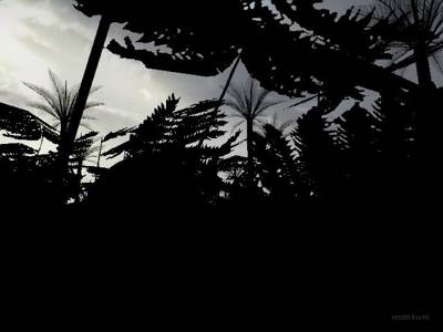 de_dream_team thumb 7