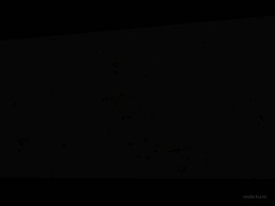 de_dungeon_horseshoe_v2 thumb 9