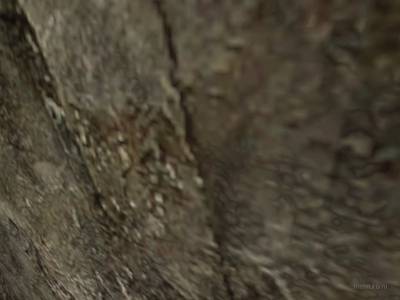 de_dust3_fixed thumb 3