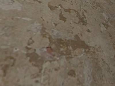 de_dust=vio= thumb 27