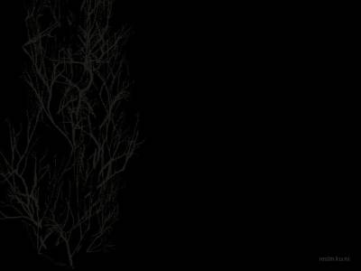 de_duw_rotfl thumb 18