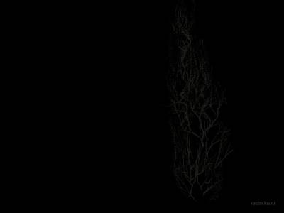 de_duw_rotfl thumb 9