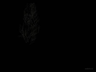 de_duw_rotfl thumb 8