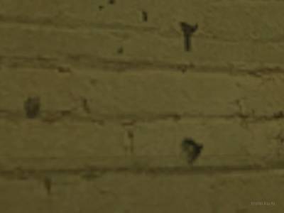 de_ed_blast thumb 23