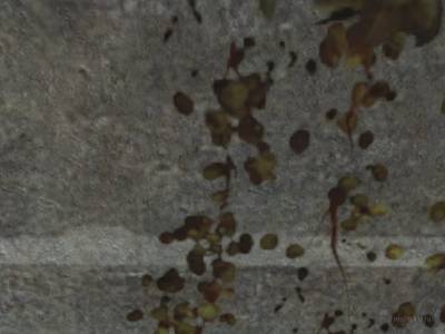 de_eminence_24 thumb 7