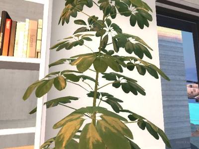 de_extraction thumb 8