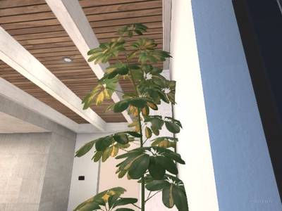 de_extraction thumb 11