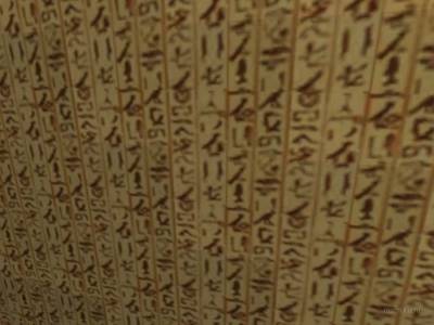 de_fara_o_beta-v1 thumb 3