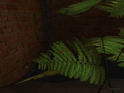 de_favela_rio thumb 7