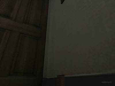 de_ferrets thumb 2