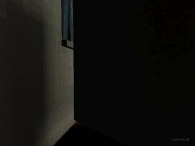 de_ferrets thumb 17