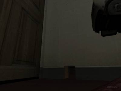 de_ferrets thumb 10