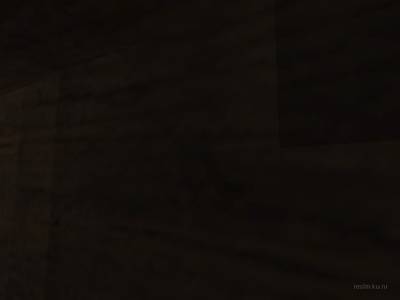 de_ferrets thumb 16