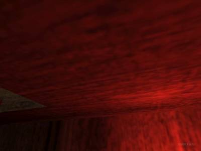 de_ferrets thumb 14