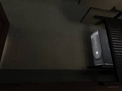de_ferrets thumb 11