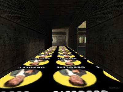 de_ferrets_classic thumb 12
