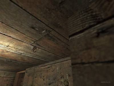 de_ferrets_final thumb 6