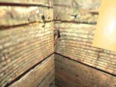 de_ferrets_final thumb 13
