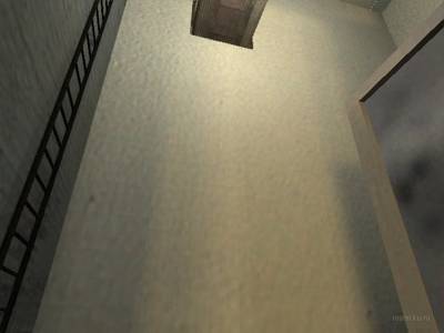 de_ferrets_final thumb 11