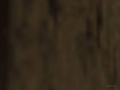 de_first thumb 17