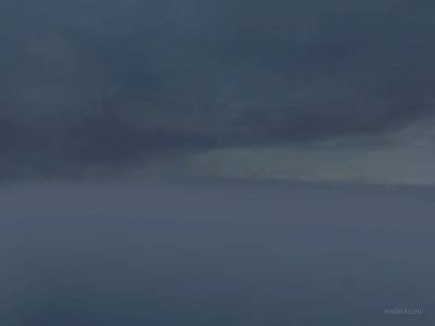 de_forest_night thumb 2