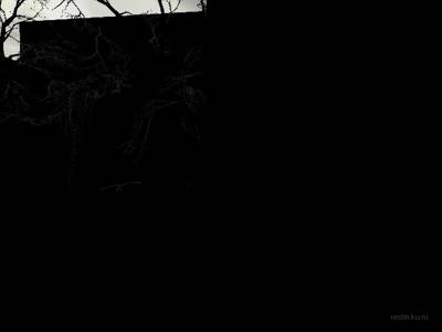 de_gardentwohouse_v1 thumb 12