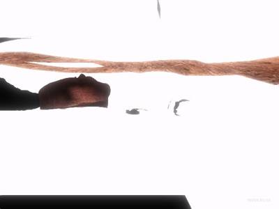 de_gasoline_beta thumb 5