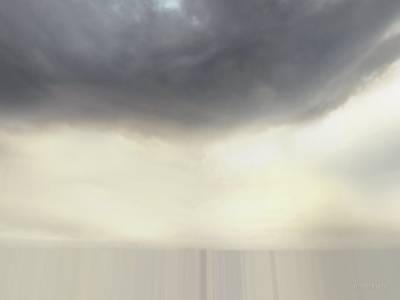 de_girrafe_hc thumb 6