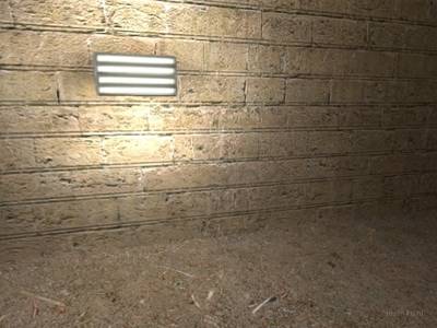 de_gloves_dust thumb 2