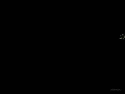 de_greenbox thumb 10