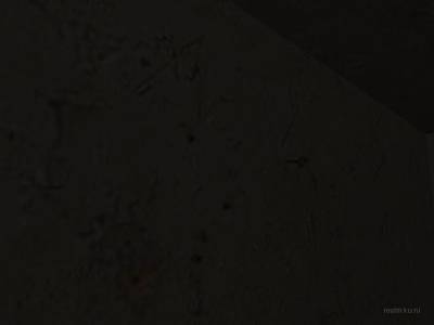 de_hermosa_dl thumb 11