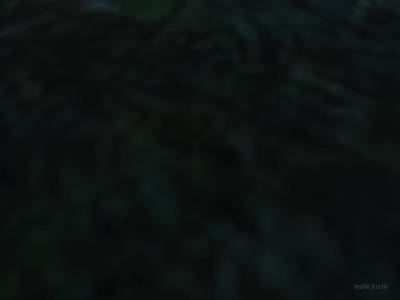 de_korpisauna thumb 30