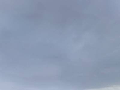 de_kowloon_b4 thumb 12